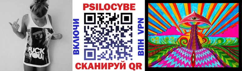 купить наркотик Задонск Галлюциногенные грибы Psilocybine cubensis