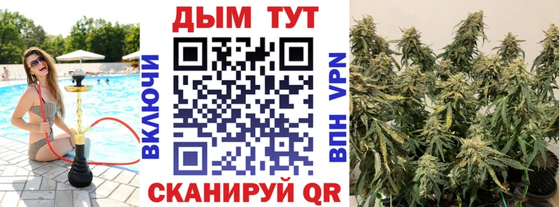 цена наркотик  Задонск  Бошки марихуана Ganja 